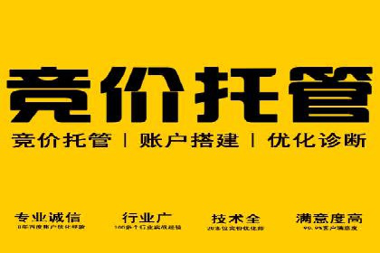 旅游行业SEM推广的成功案例分享